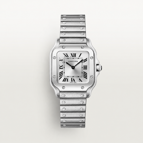 Santos – Silver Dial & Steel