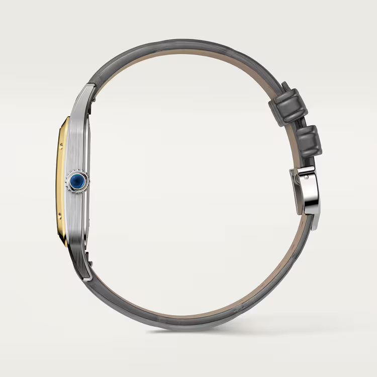 Santos-Dumont – Two-Tone Gold & Grey