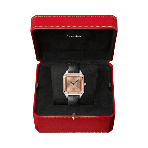 Santos-Dumont – Two-Tone Rose Gold, Salmon Dial & Black Leather
