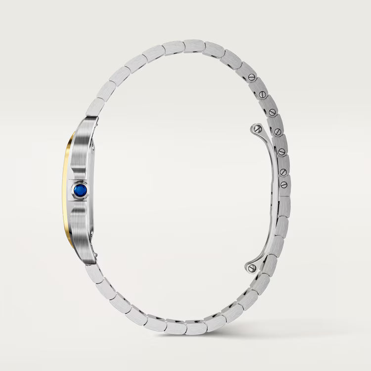 Santos  – Steel & Yellow Gold