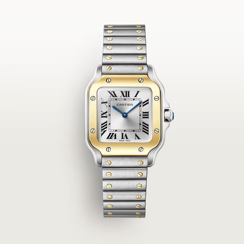 Santos  – Steel & Yellow Gold