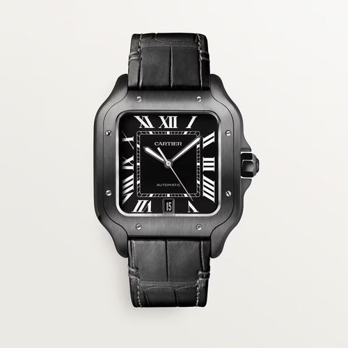 Santos – All Black & Leather Strap