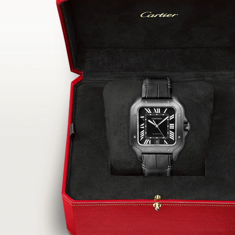Santos – All Black & Leather Strap